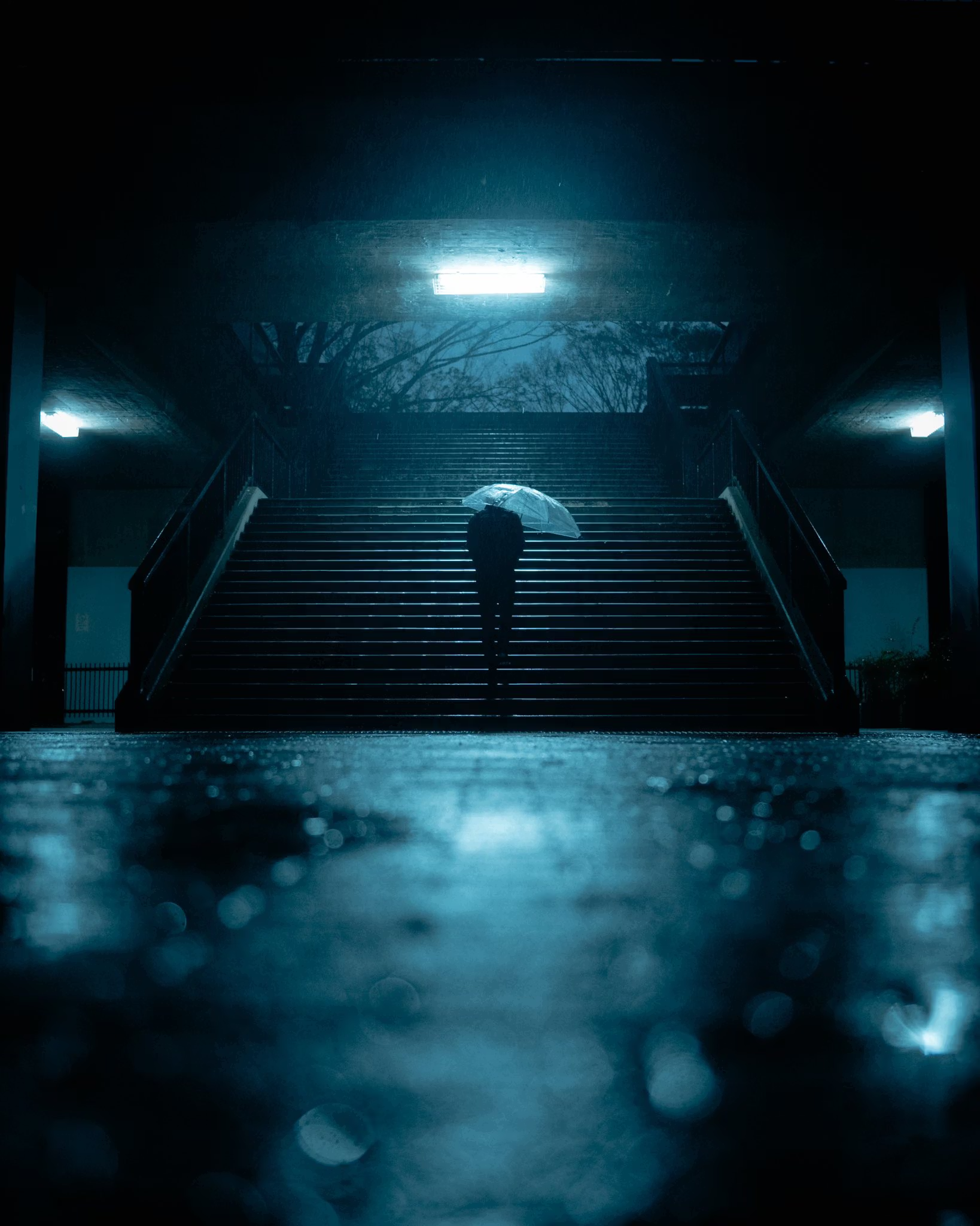 Alone in Rain