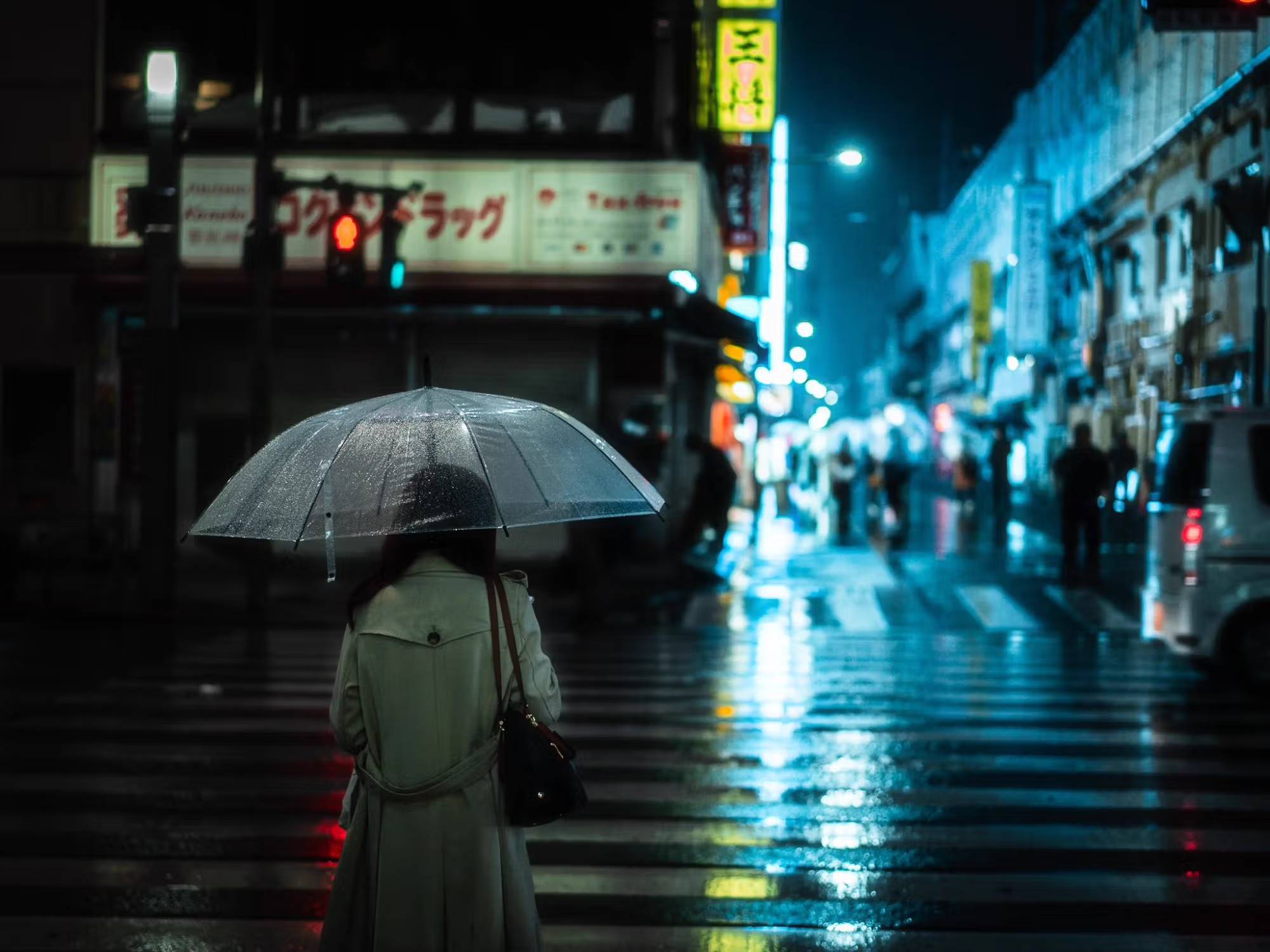 Reflections in the Rain