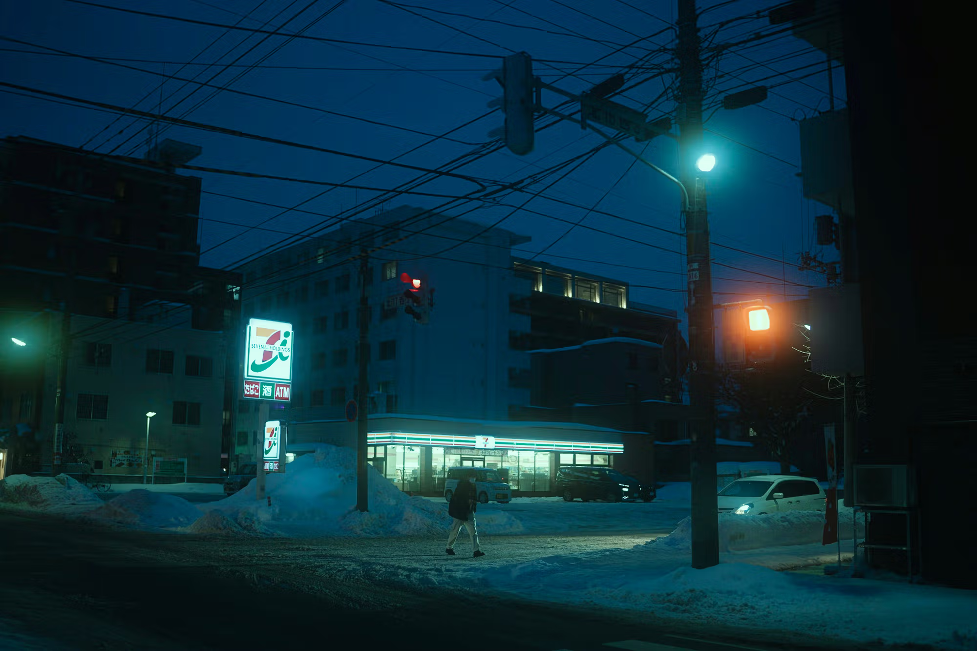Tokyo Snowfall Serenade
