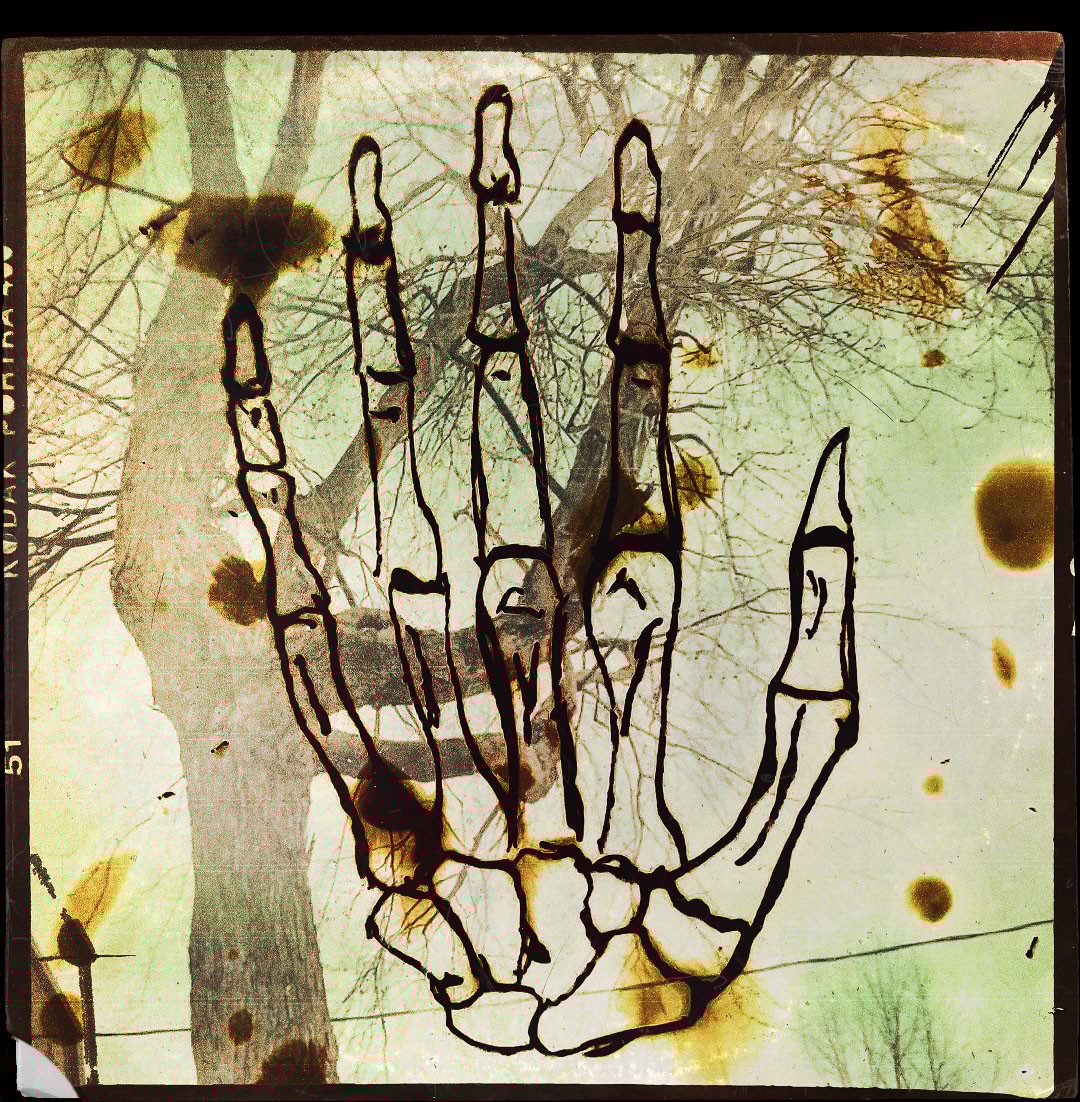 A picture of a hand with a tree in the background